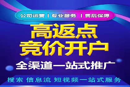 SEM竞价培训：案例分析及策略优化